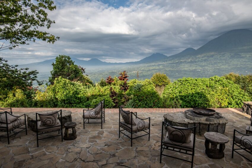 anda luxury safari — mountain gorilla in Volcanoes National Park