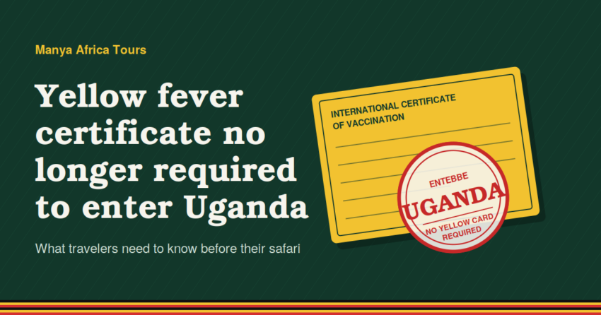 yellow fever card